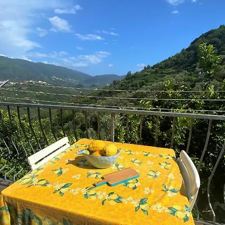 Appartamento Le Della Lizza - Casa Gialla *